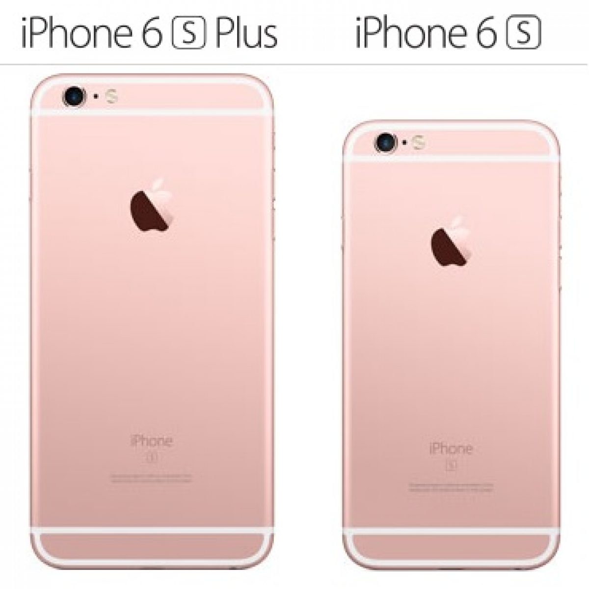 Remmen Giftig vliegtuigen iPhone 6S or iPhone 6S Plus? Pros and Cons!